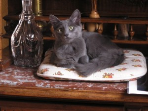 monacocattry.com La Marniere Faithful of Amiel-Goshen