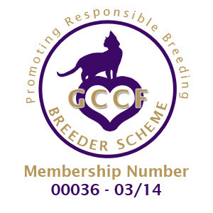 GCCF breeder Scheme 2014