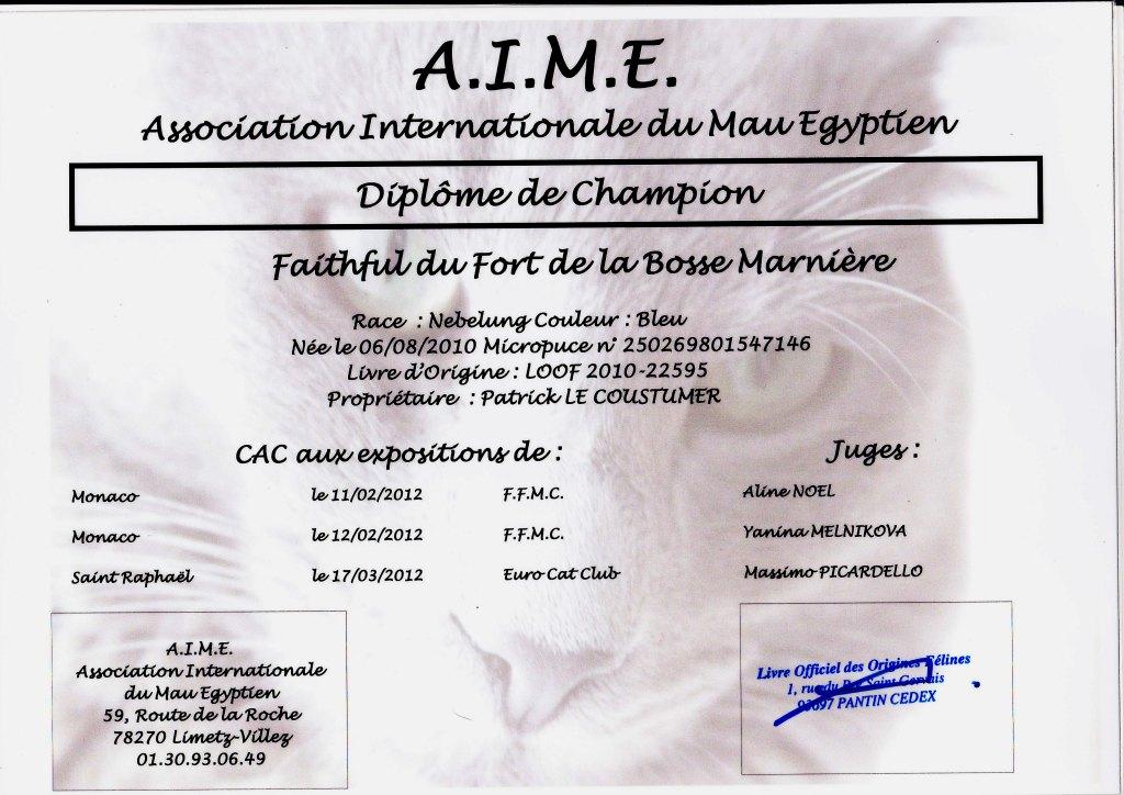 ch-CH. Faithful du fort de la bosse marniere (of Amiel-Goshen)