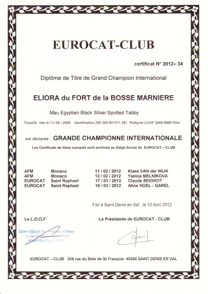 Grand International Champion Title of Eli-Ora du Fort de la Bosse Marnier